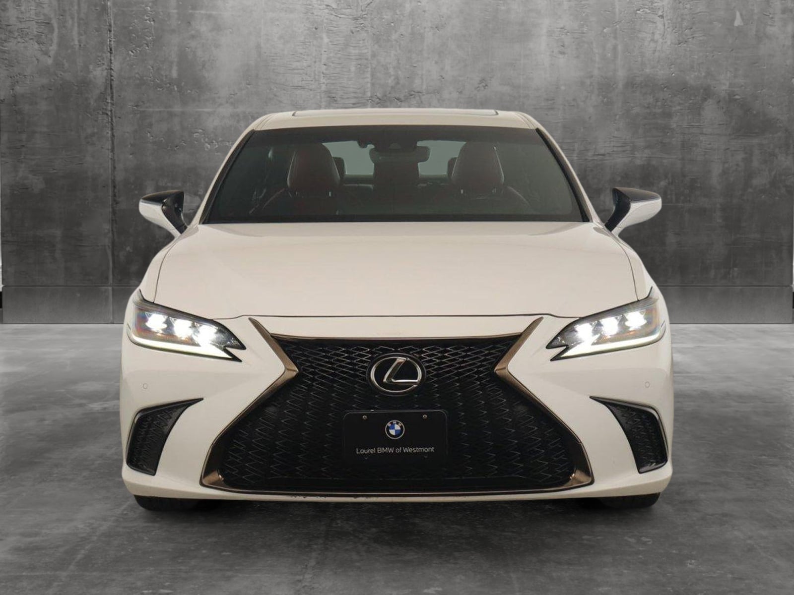 Used 2019 Lexus ES F SPORT with VIN 58ABZ1B14KU032024 for sale in Westmont, IL