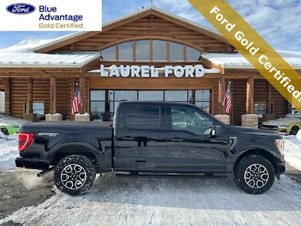 2023 Ford F-150 XLT Crew Cab