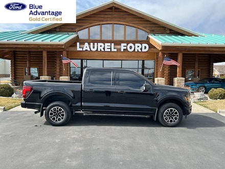 2024 Ford F-150 XLT Crew Cab