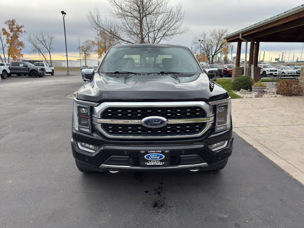 2021 Ford F-150 Platinum photo 2