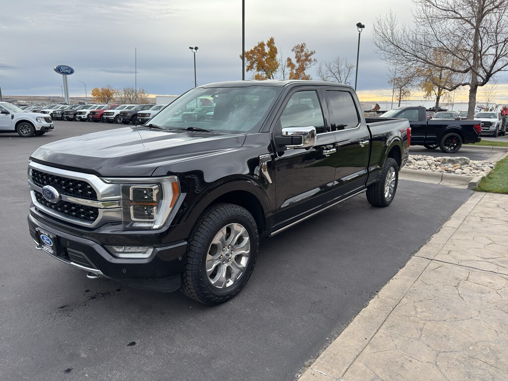 2021 Ford F-150 Platinum photo 3