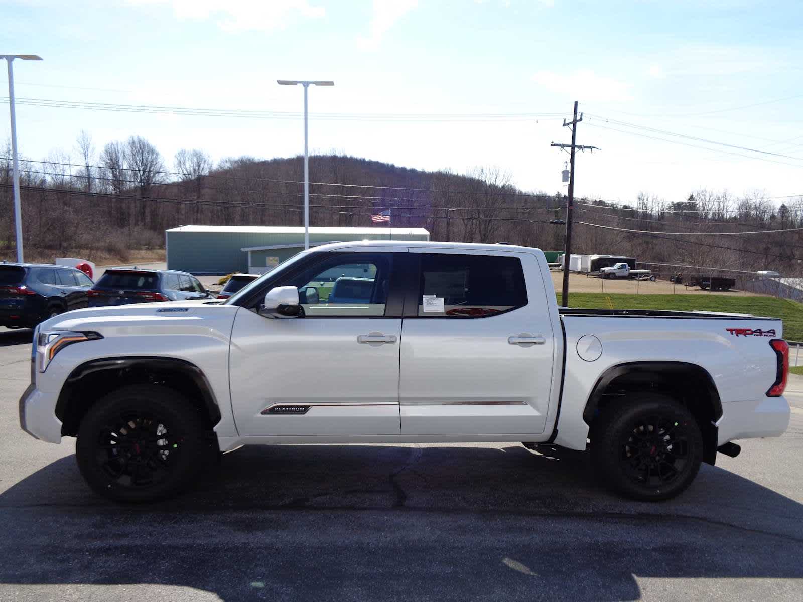 2026 Toyota Tundra Platinum - Photo 6