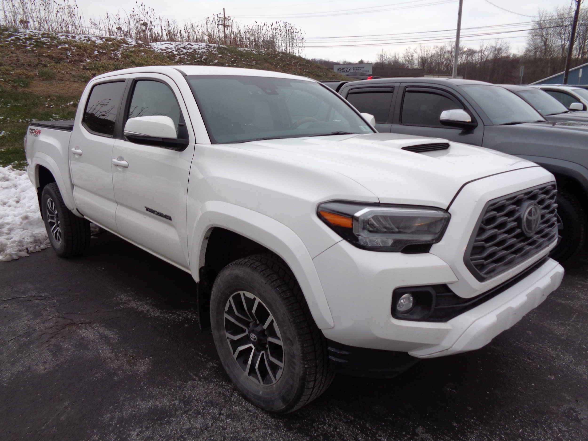 2023 Toyota Tacoma TRD Sport's photo