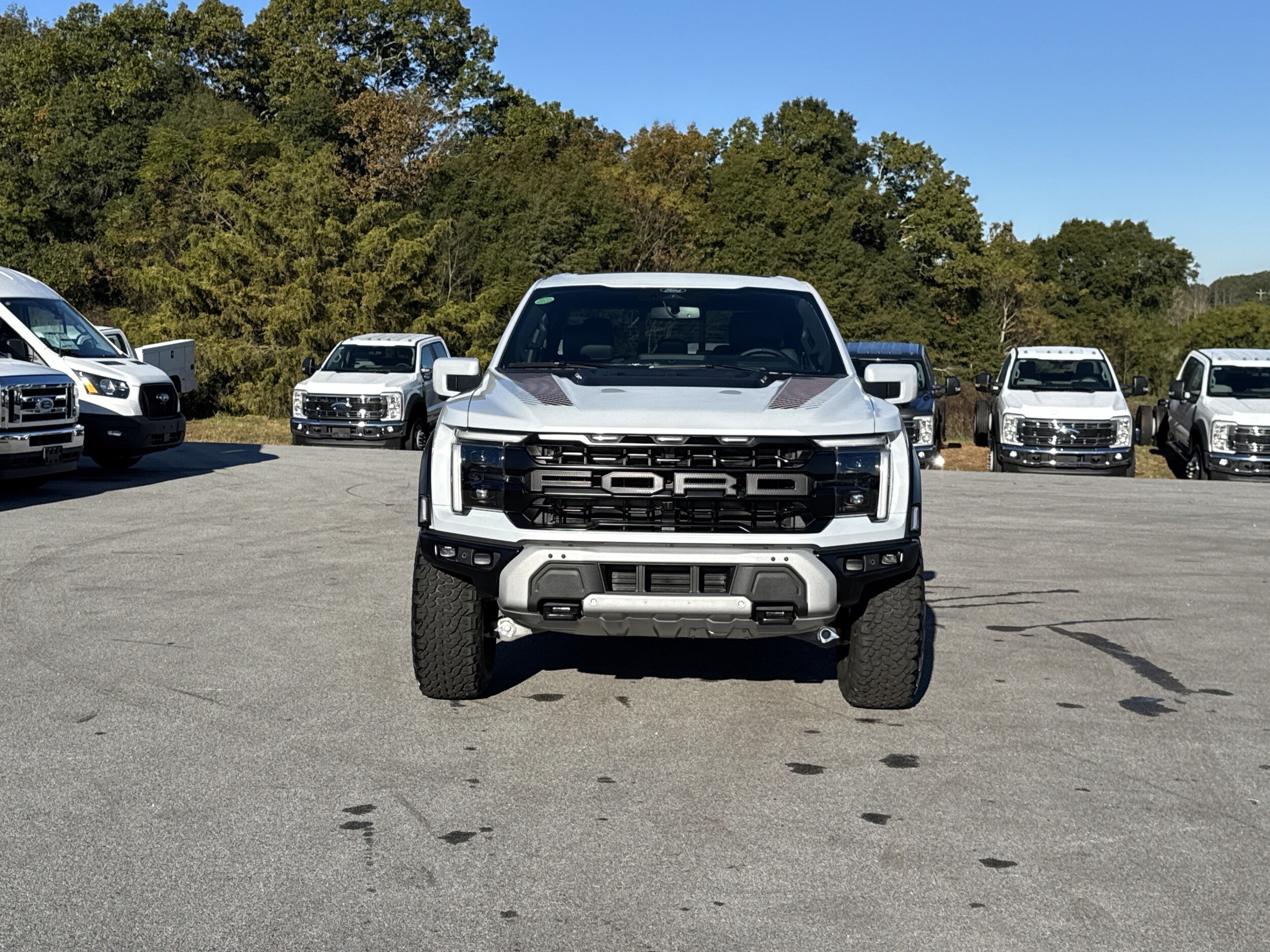 2025 Ford F-150 Raptor photo 3