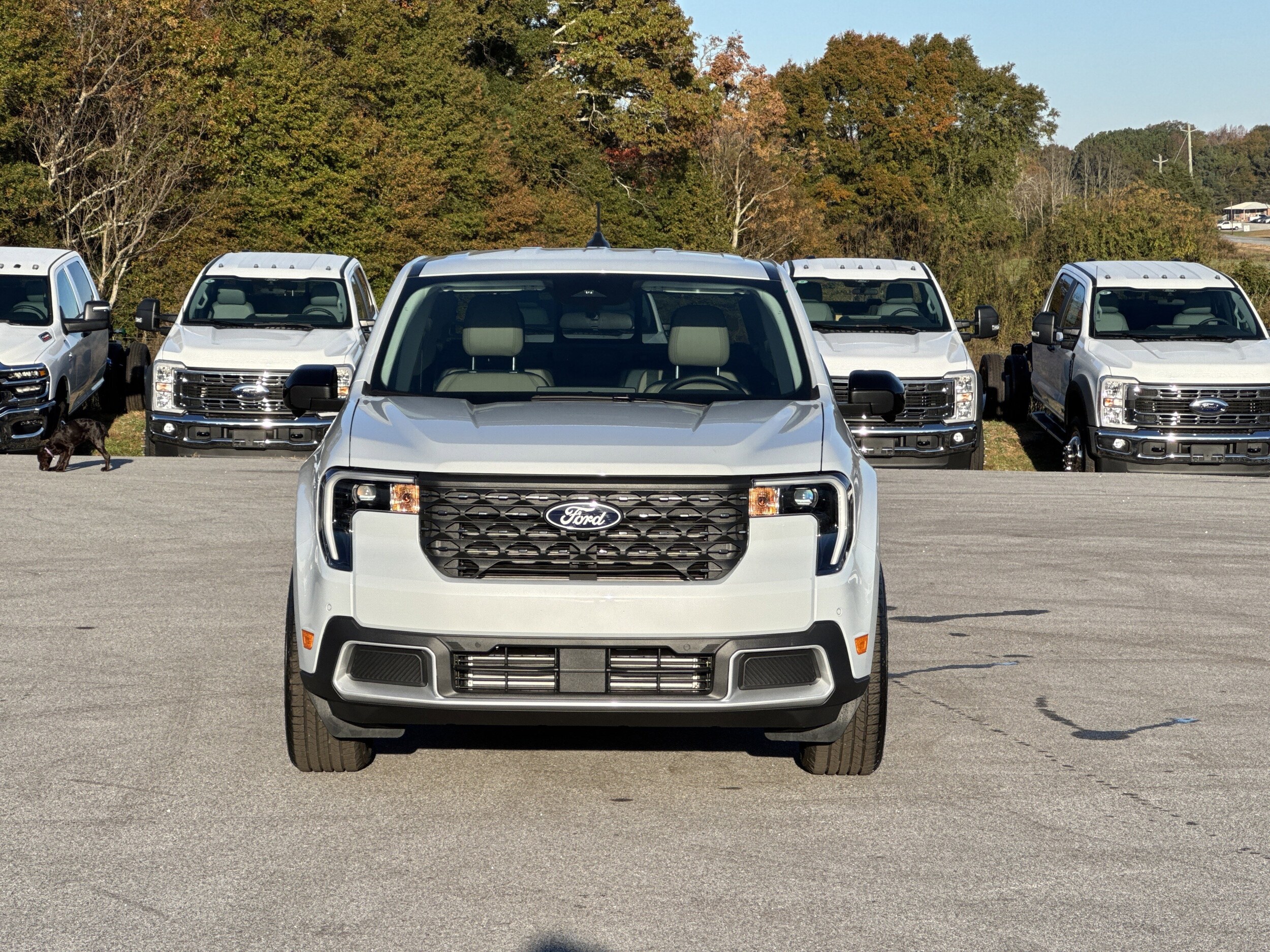 2025 Ford Maverick Lariat photo 3