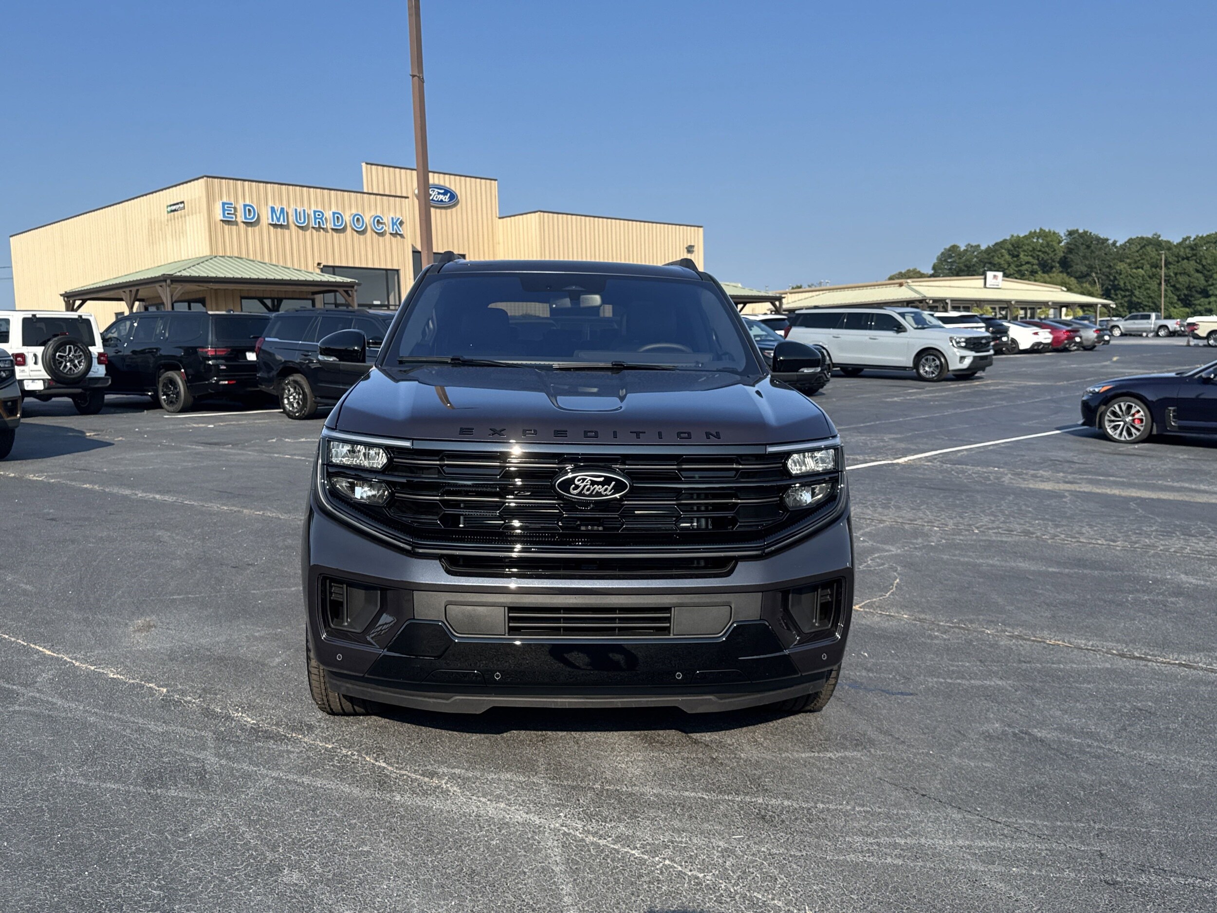 2025 Ford Expedition Platinum photo 3