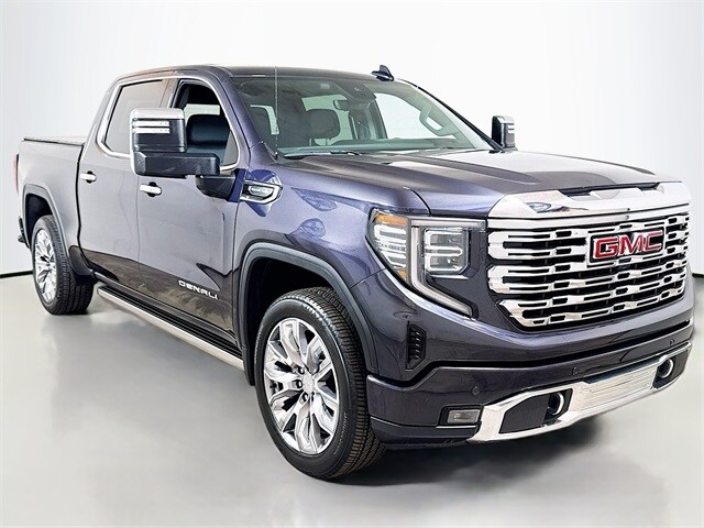 2024 Gmc Sierra 1500 Denali photo 3