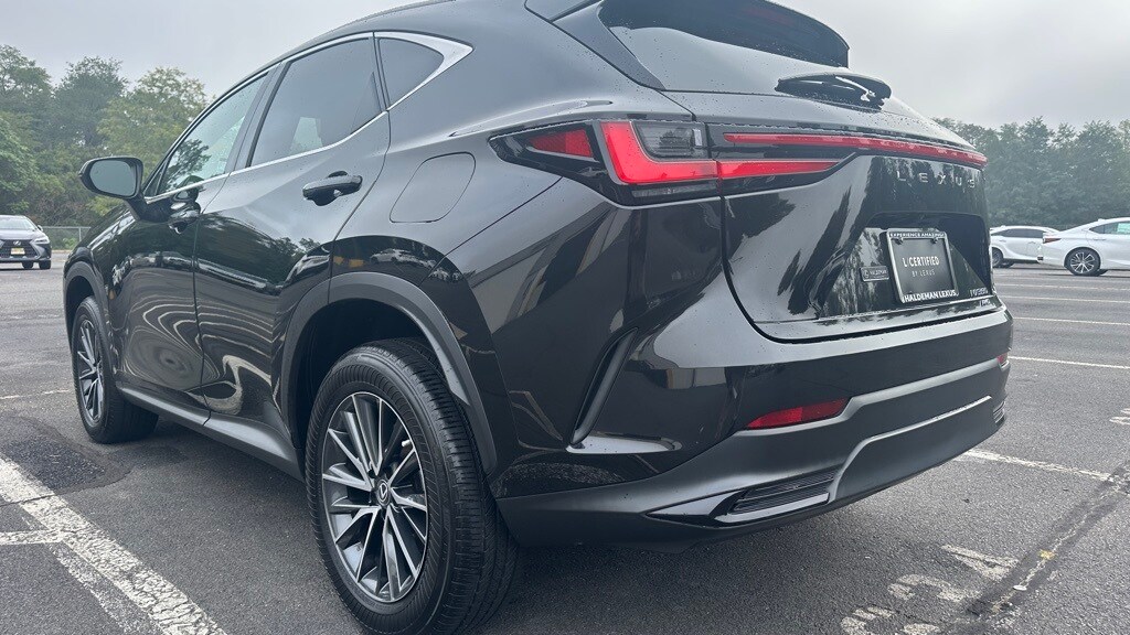 2022 Lexus NX 350 photo 3