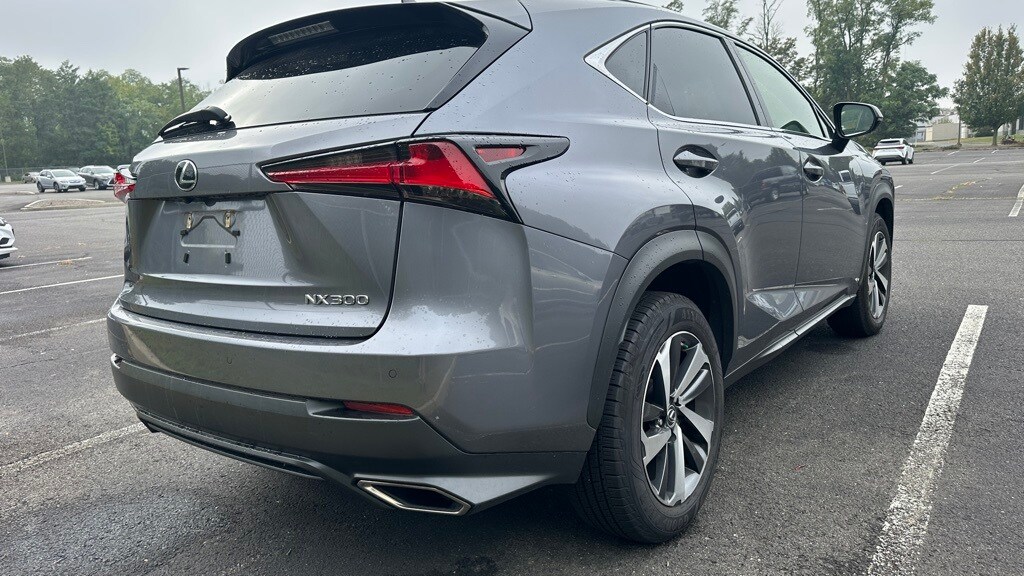 2019 Lexus NX 300 Luxury photo 4