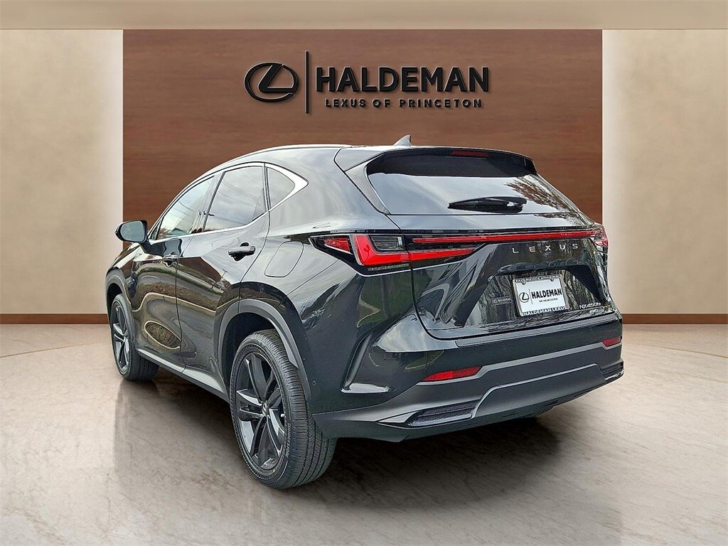 2024 Lexus NX 450h+ Luxury photo 4