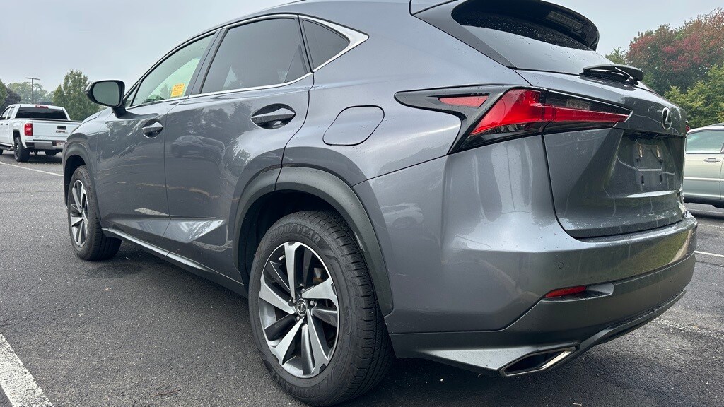 2019 Lexus NX 300 Luxury photo 3