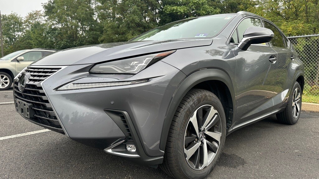 2019 Lexus NX 300 Luxury photo 2