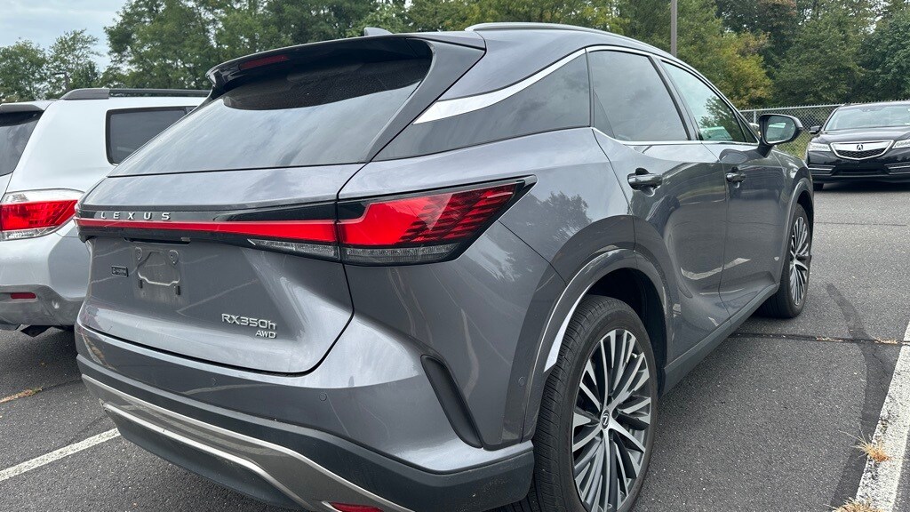 2023 Lexus RX 350h photo 4