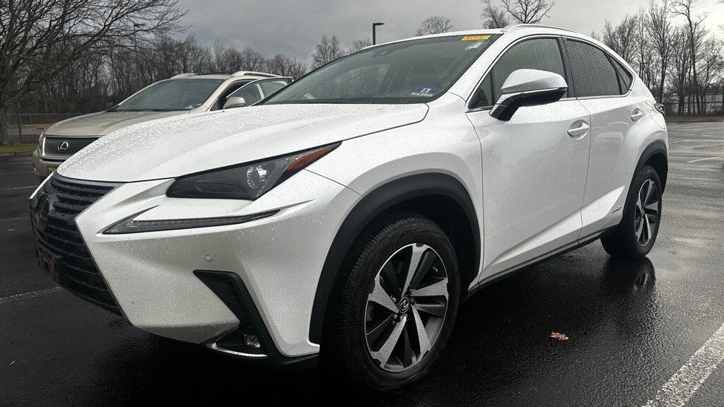 2019 Lexus NX 300h Luxury photo 2