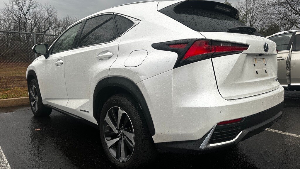 2019 Lexus NX 300h Luxury photo 3