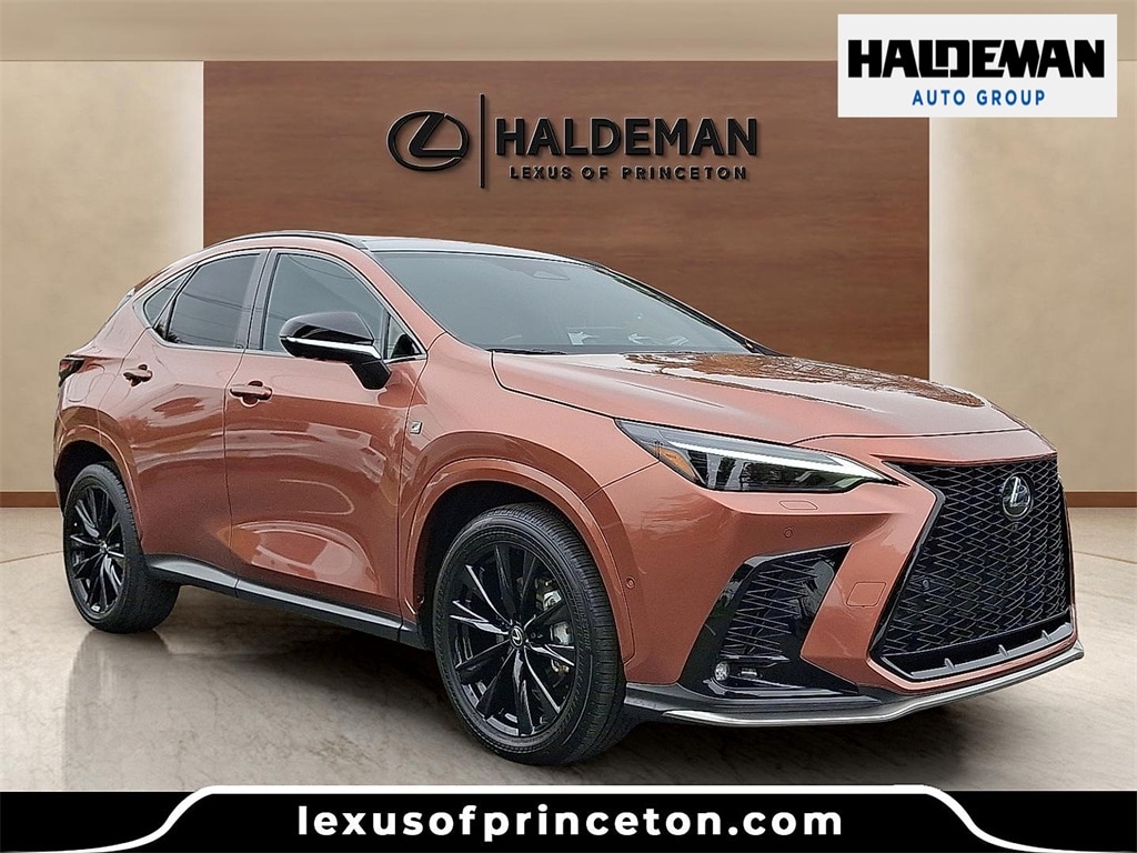 2025 Lexus NX PHEV 450h+'s photo