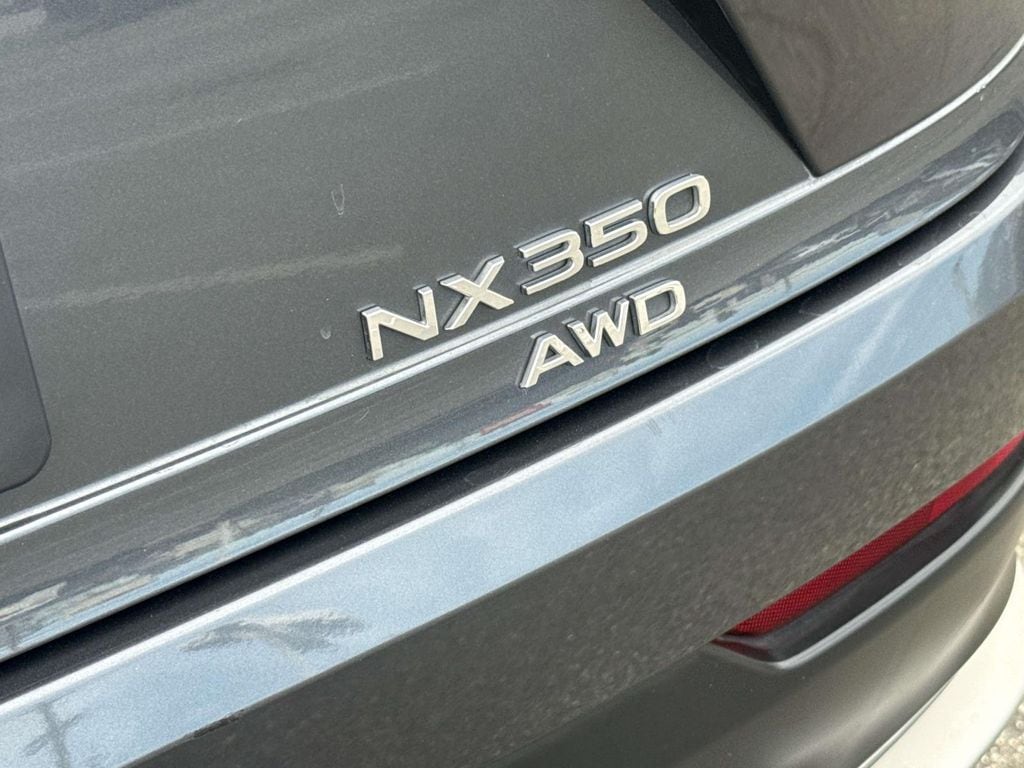 2024 LEXUS NX 350 F SPORT Handling photo 6