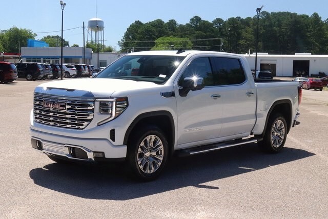2024 Gmc Sierra 1500 Denali photo 3