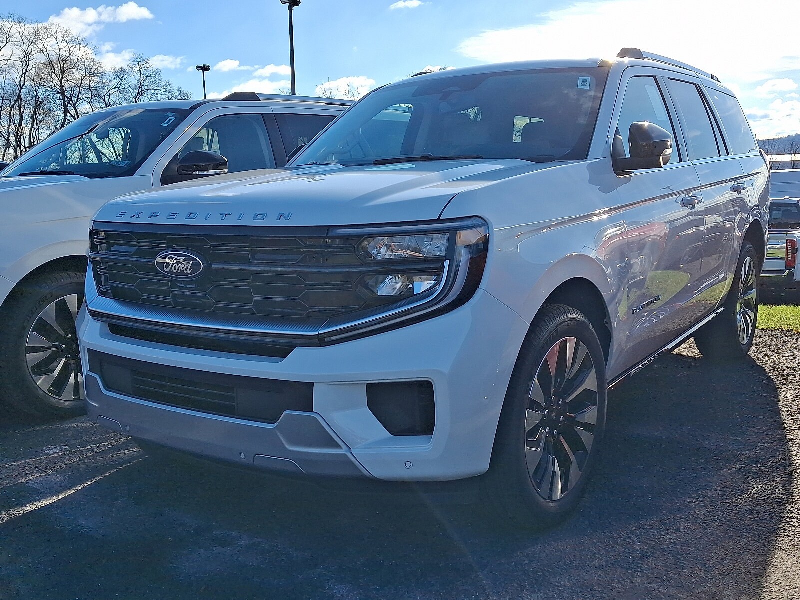 2025 Ford Expedition Platinum photo 3