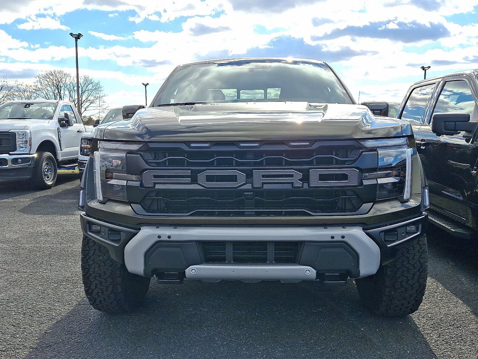 2025 Ford F-150 Raptor photo 2