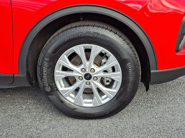 Photo 8