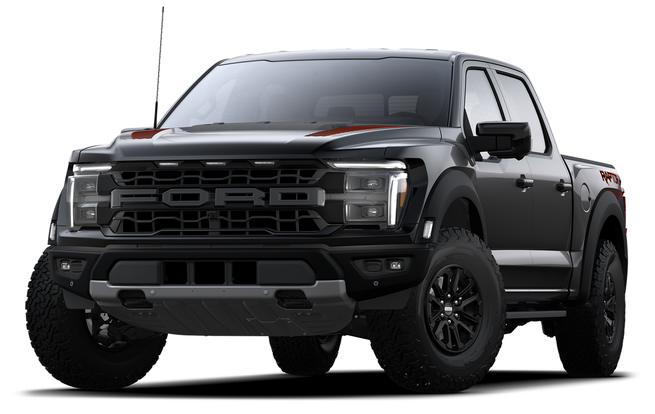 Raptor