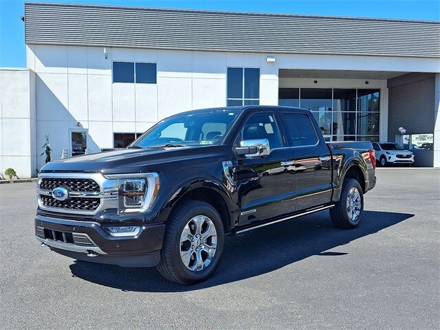 2022 Ford F-150 Platinum photo 2