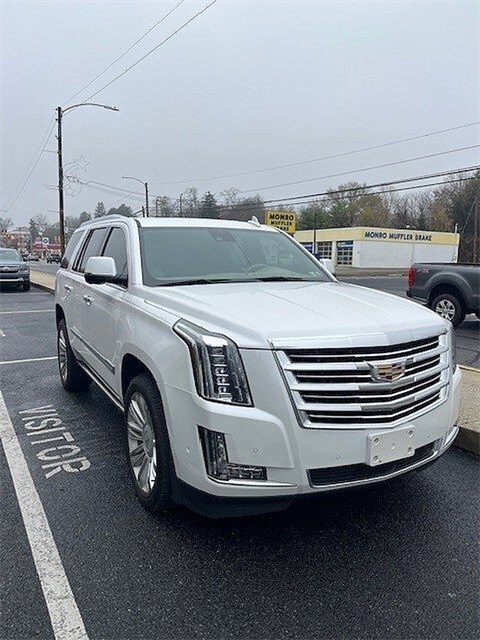 2020 Cadillac Escalade Platinum photo 3