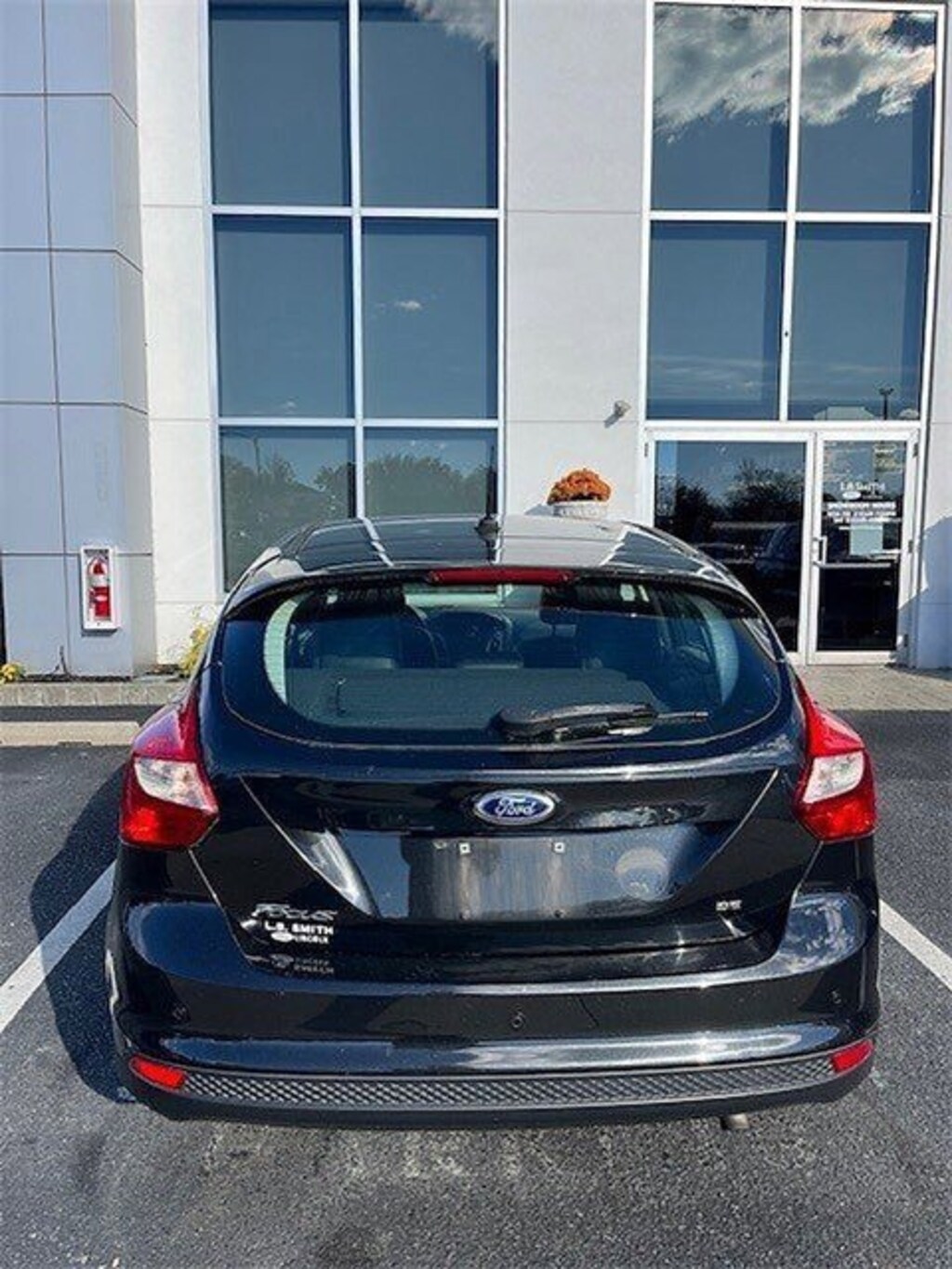 Used 2014 Ford Focus SE Hatchback