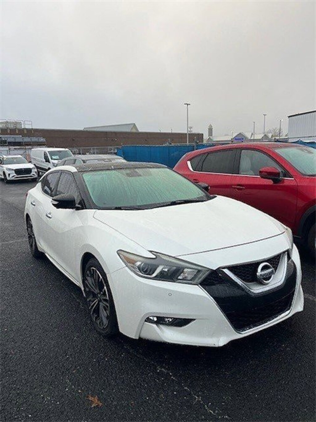 Used 2016 Nissan Maxima 3.5 Platinum Sedan