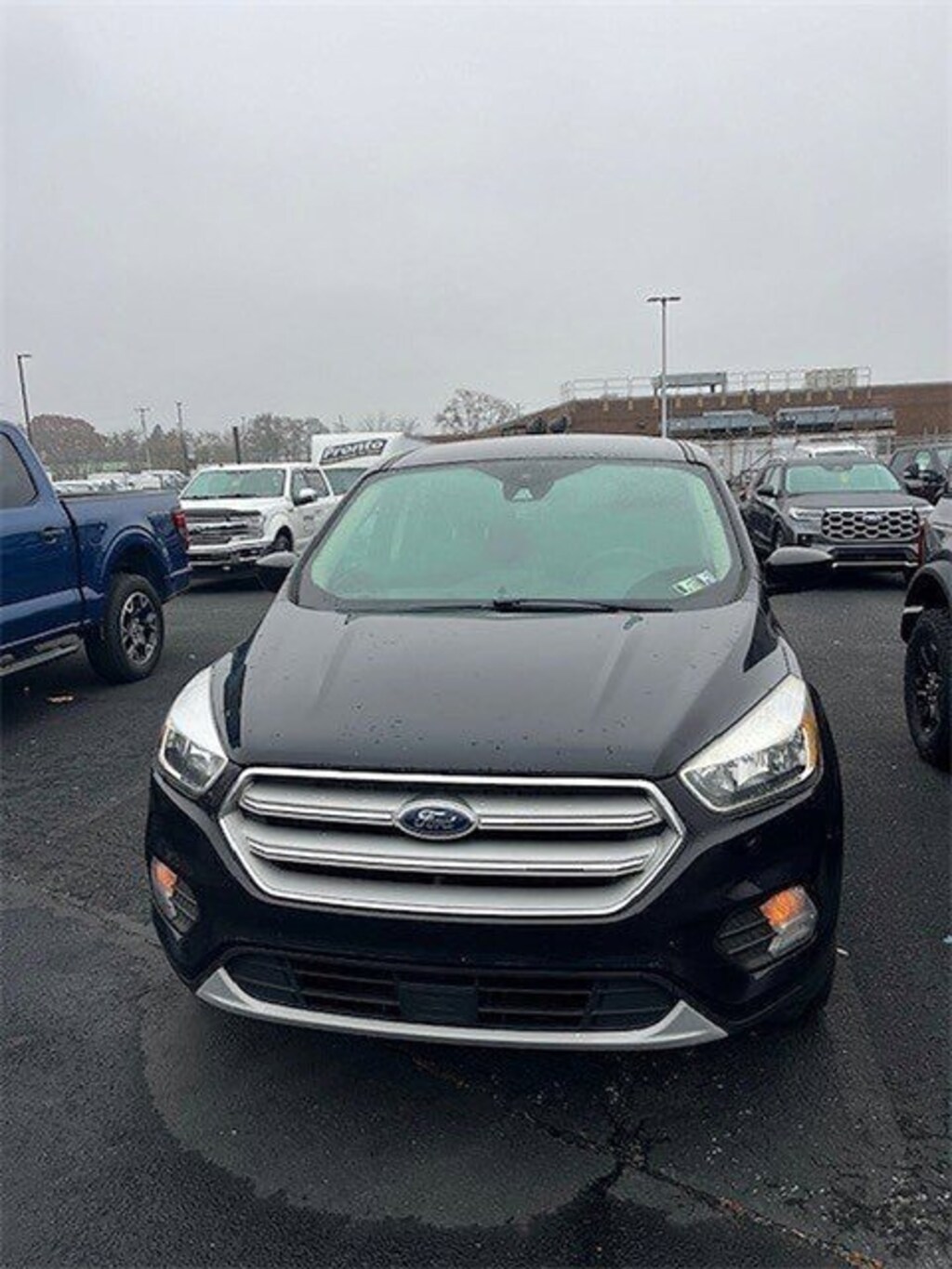 Used 2019 Ford Escape SE SUV