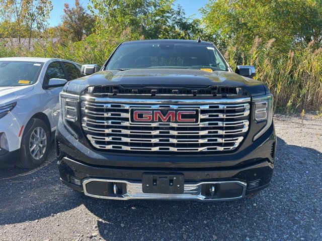 2022 Gmc Sierra 1500 Denali photo 2