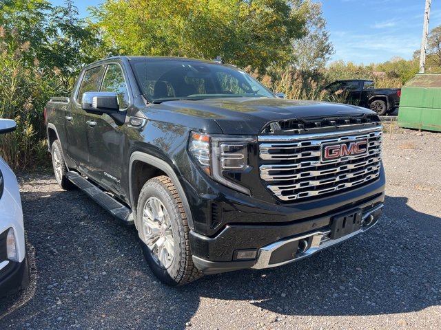2022 Gmc Sierra 1500 Denali photo 3