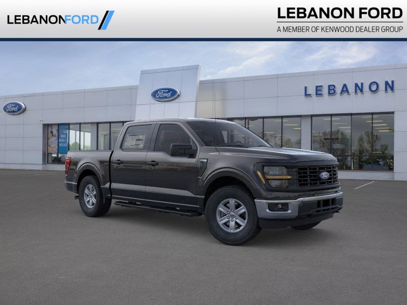 2025 Ford F-150 XL's photo