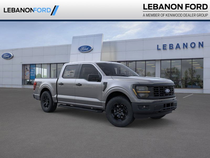 2025 Ford F-150 STX's photo