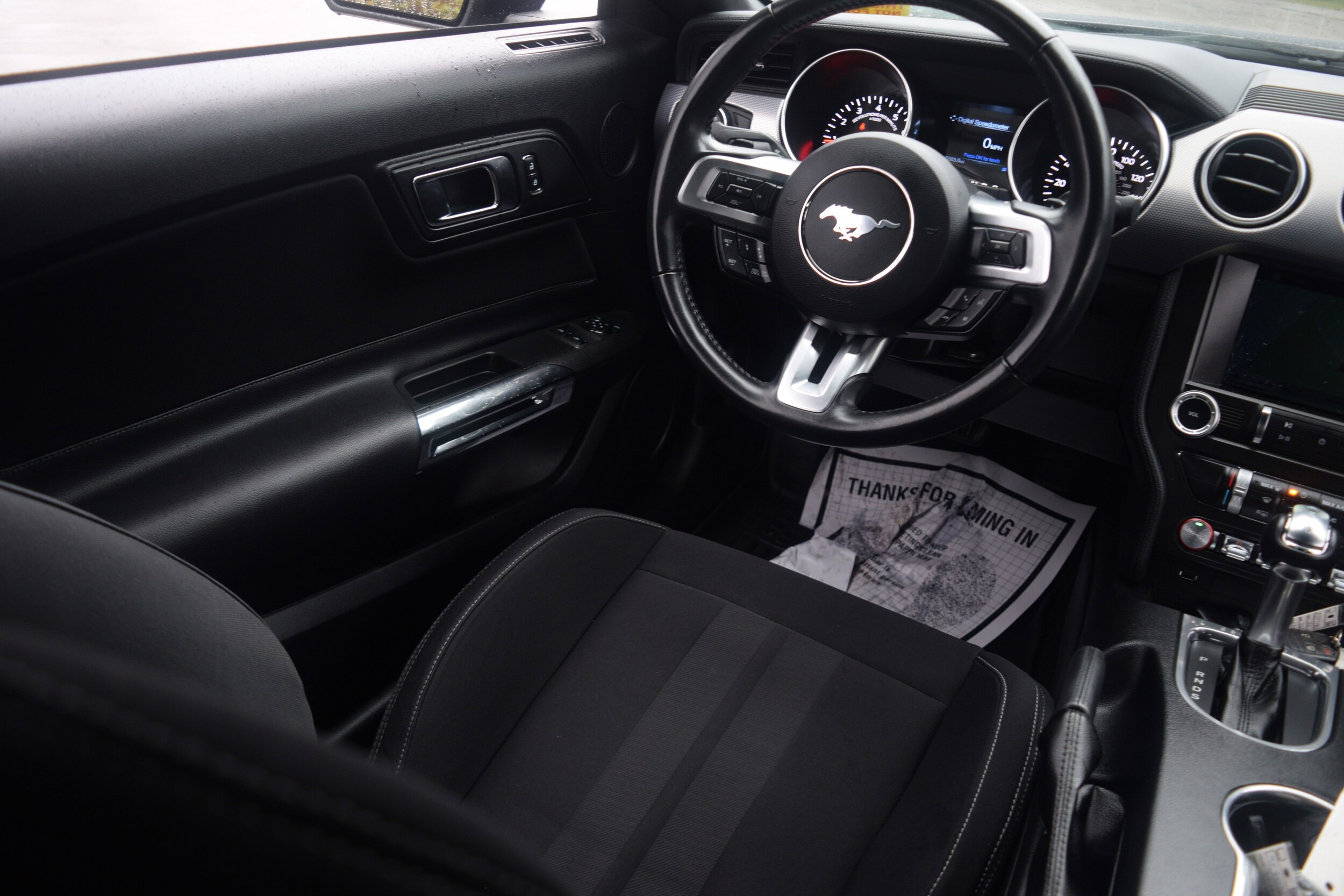 2019 Ford Mustang EcoBoost photo 2