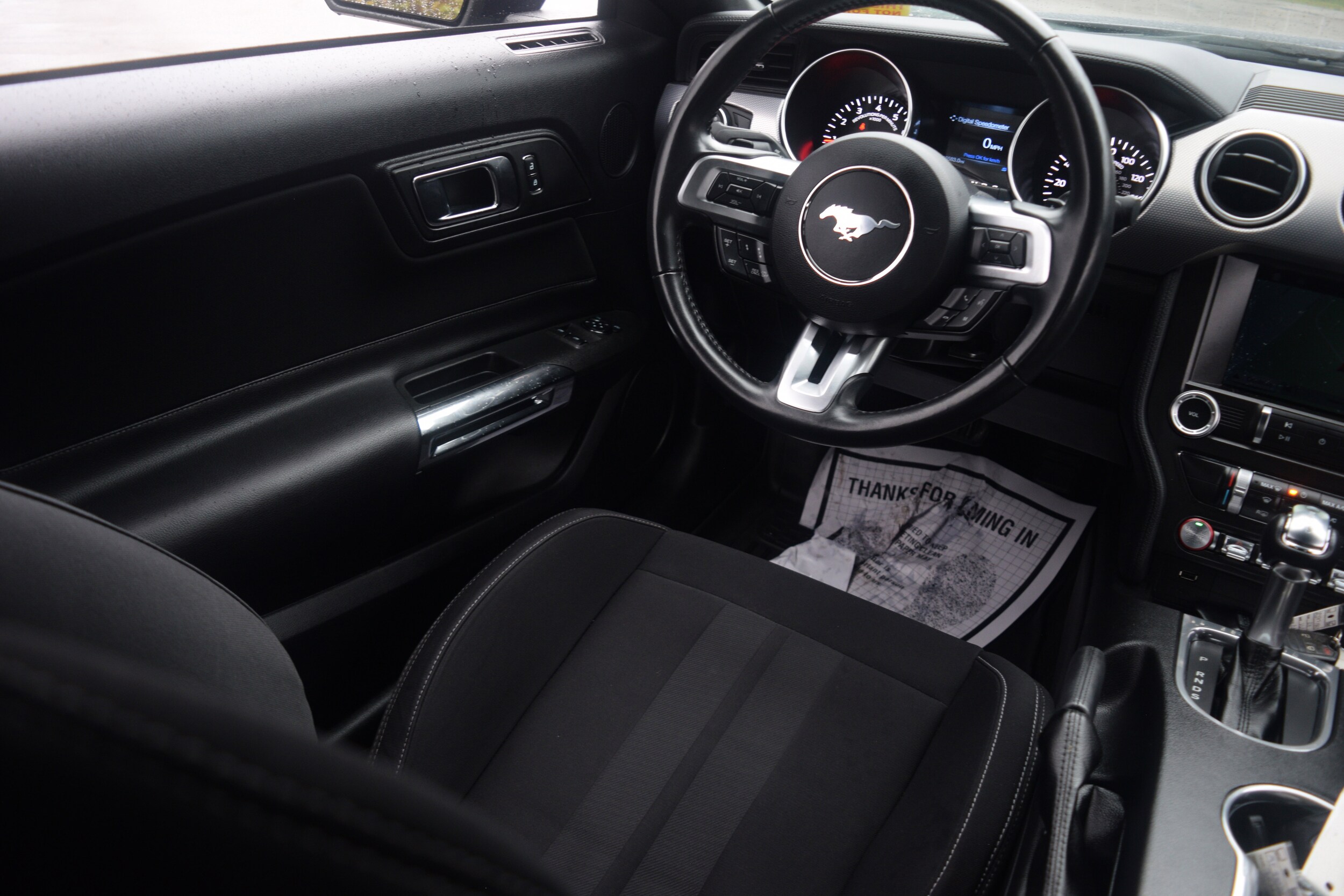 2019 Ford Mustang EcoBoost photo 2