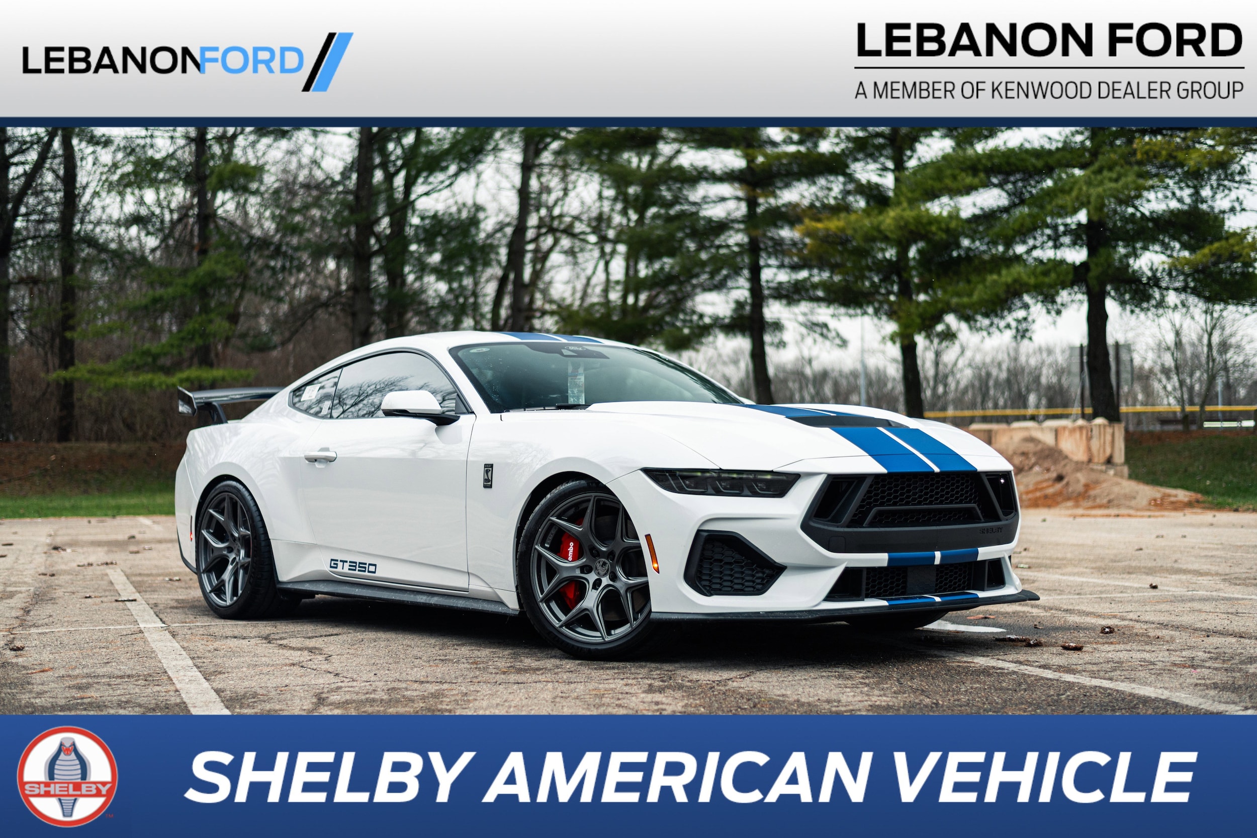 2025 Ford Mustang GT Premium's photo