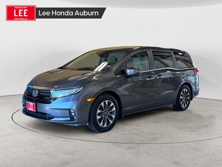 2024 Honda Odyssey EX-L Van