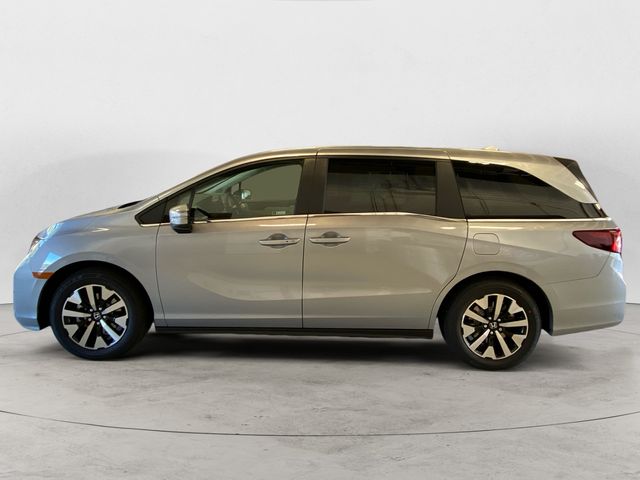 2026 Honda Odyssey EX-L photo 2