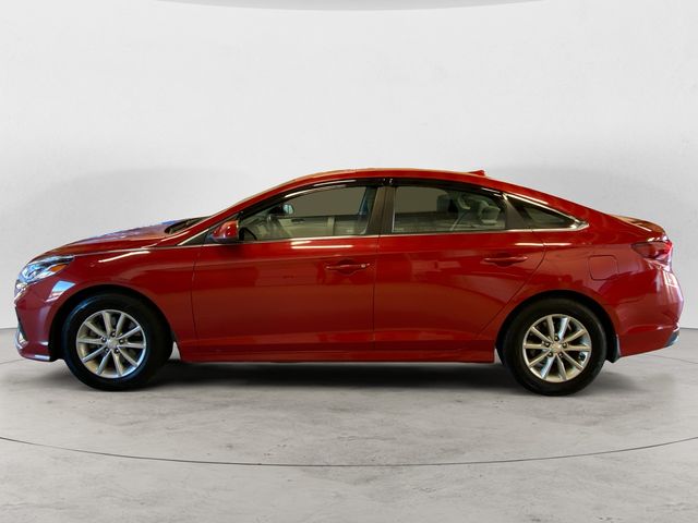 2019 Hyundai Sonata SE photo 2
