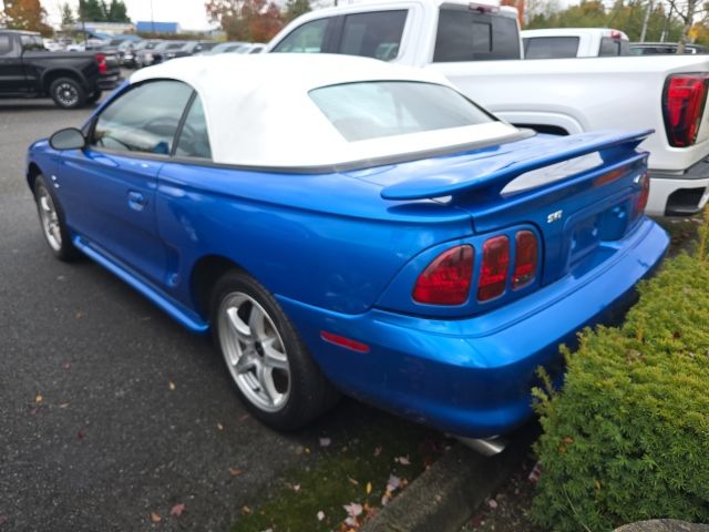 1998 Ford Mustang Cobra photo 3