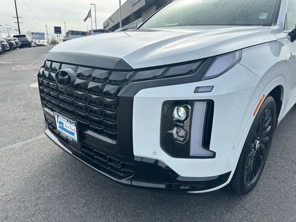 2025 Hyundai Palisade Calligraphy photo 2