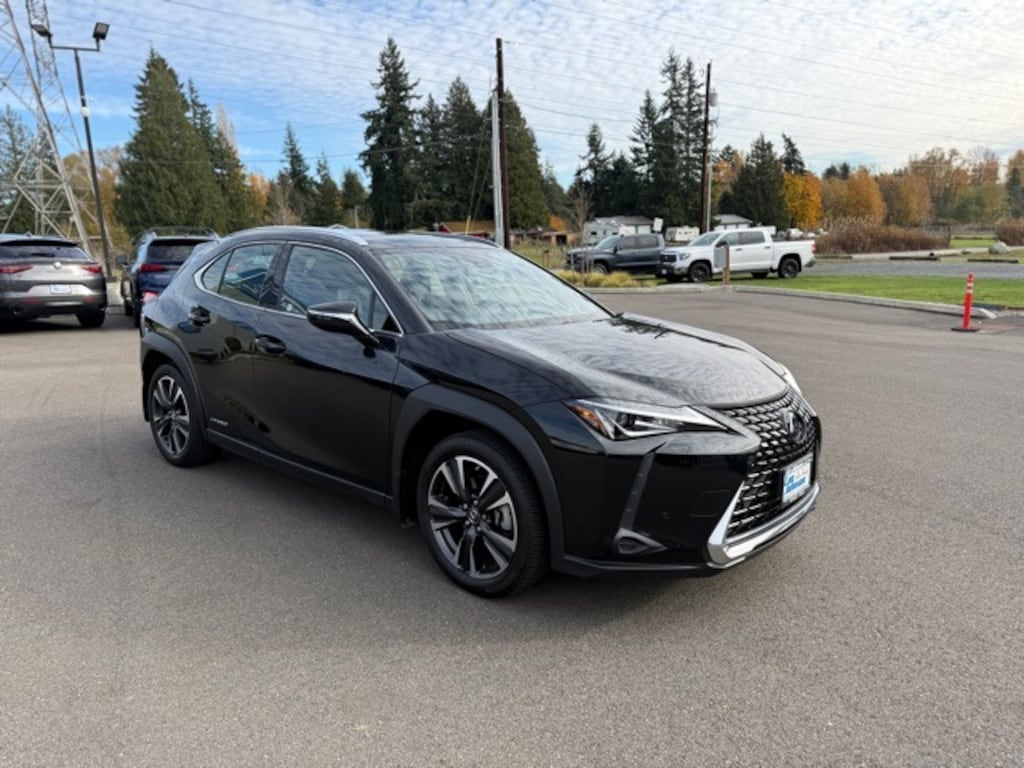 Used 2021 Lexus UX 250h 250h Luxury SUV