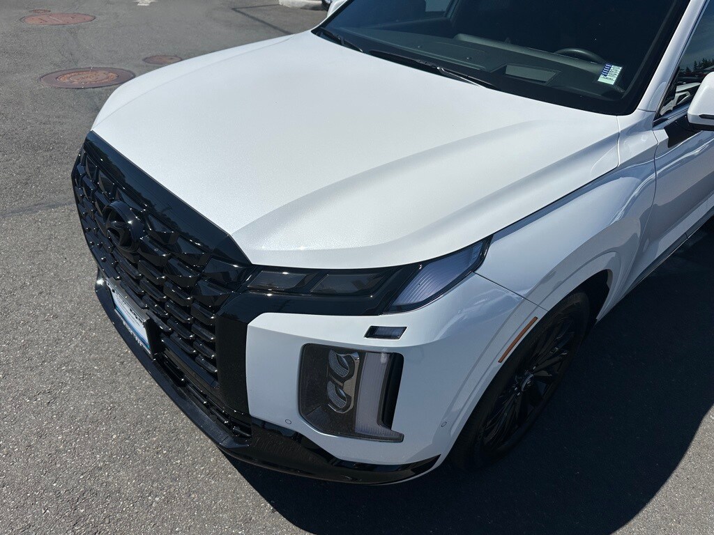2025 Hyundai Palisade Calligraphy photo 4