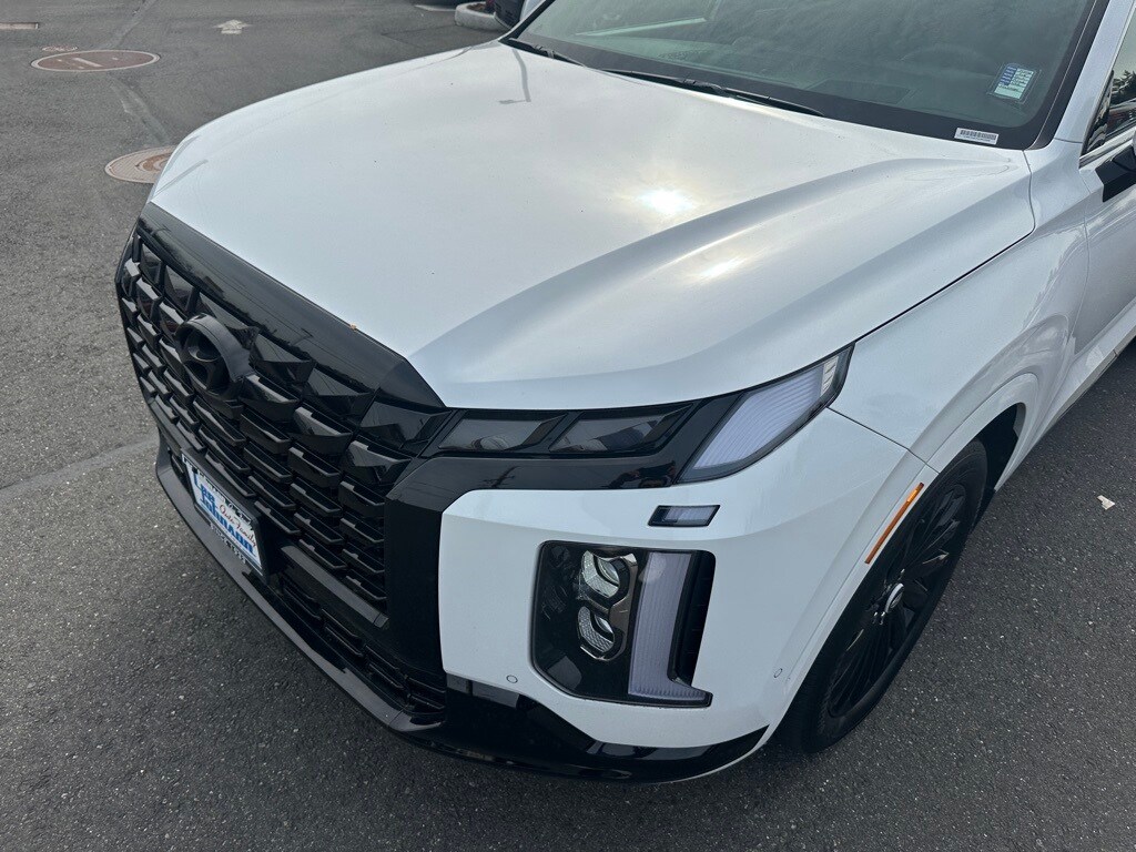 2025 Hyundai Palisade Calligraphy photo 3