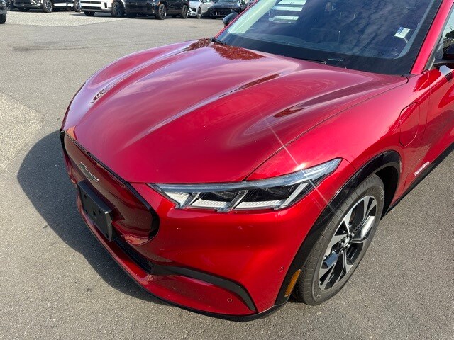 2021 Ford Mustang Mach-E Premium photo 3