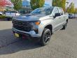 Used 2024 Chevrolet Silverado 1500 Custom Trail Boss Truck