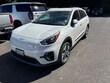  Kia Niro EV