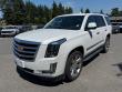 Used 2019 CADILLAC Escalade Luxury SUV